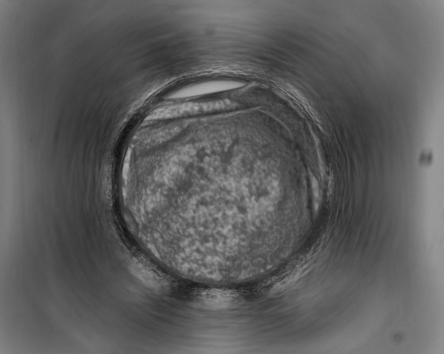 X0000099510444200806121443