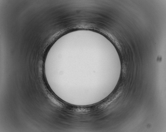 X0000099510445200806121443