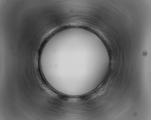 X0000099510446200806121443
