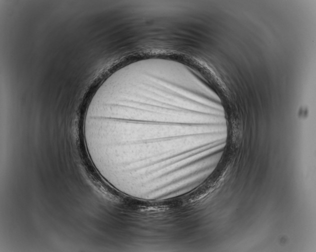 X0000099510447200806121443