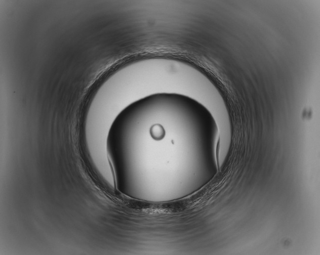 X0000099510448200806121443