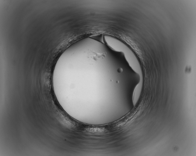 X0000099510449200806121443