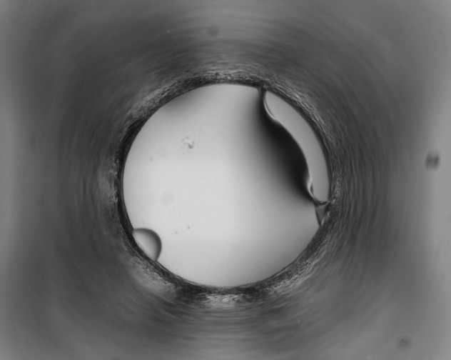 X0000099510450200806121443