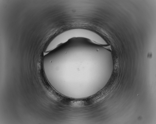 X0000099510452200806121443