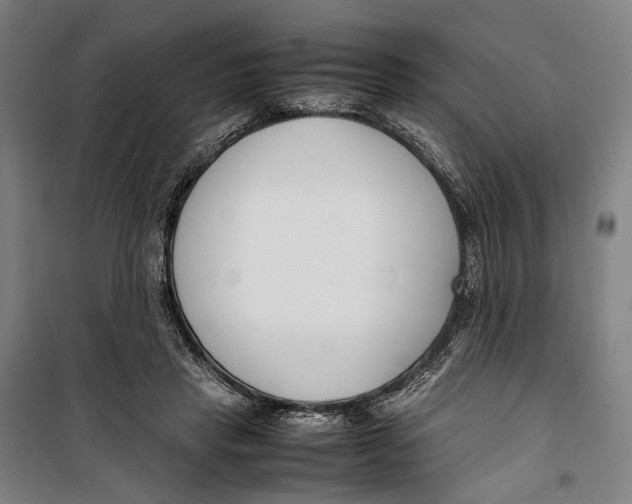 X0000099510453200806121443