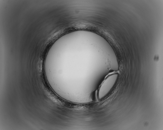 X0000099510454200806121443