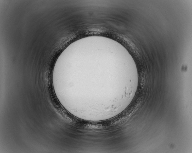 X0000099510455200806121443
