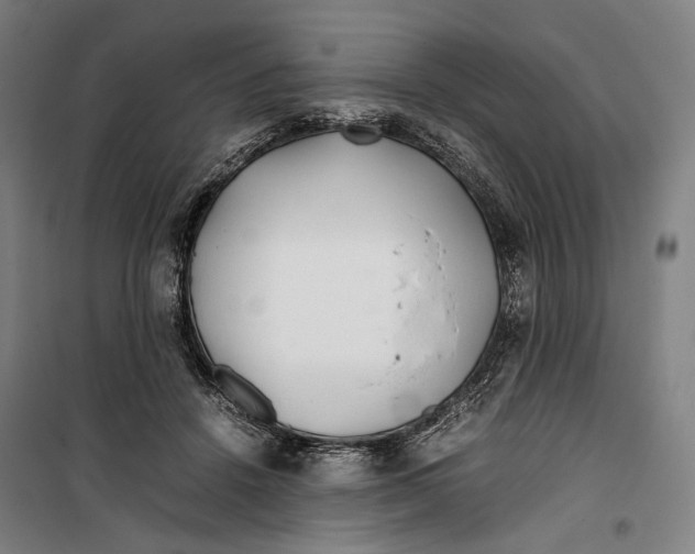 X0000099510456200806121443