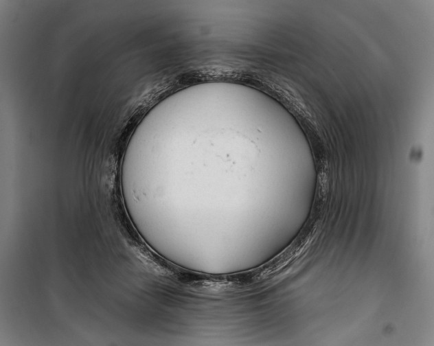 X0000099510458200806121443