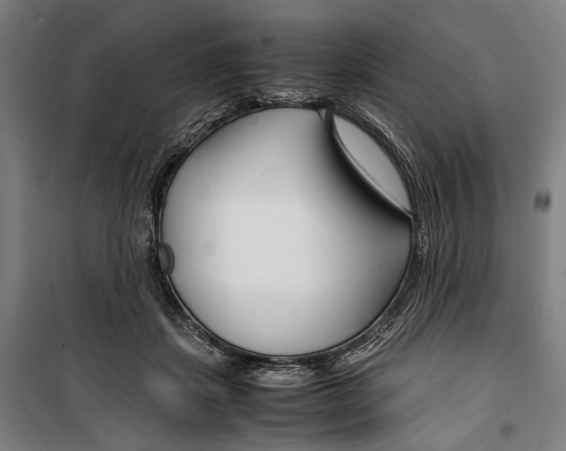 X0000099510459200806121443