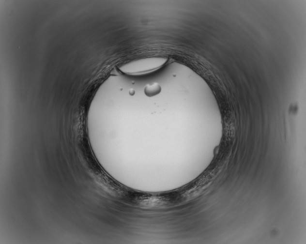 X0000099510460200806121443