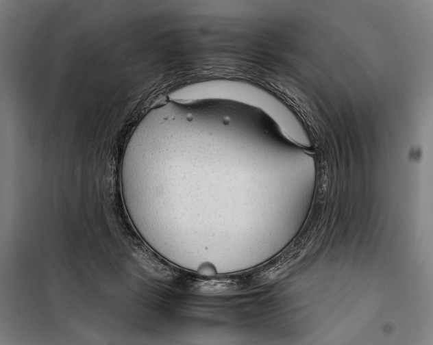 X0000099510461200806121443