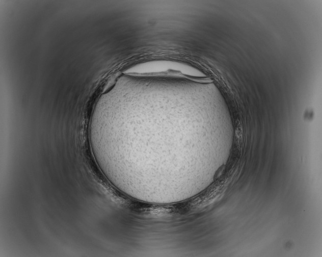 X0000099510462200806121443