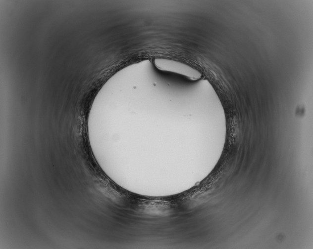 X0000099510463200806121443
