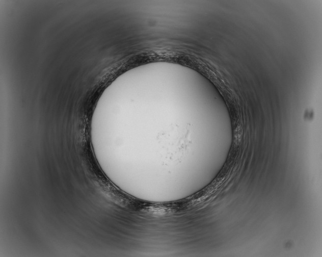 X0000099510464200806121443