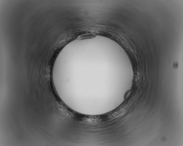 X0000099510466200806121443