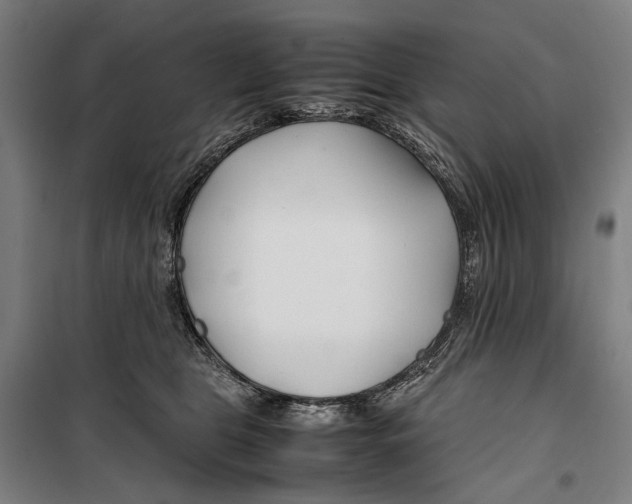 X0000099510469200806121443