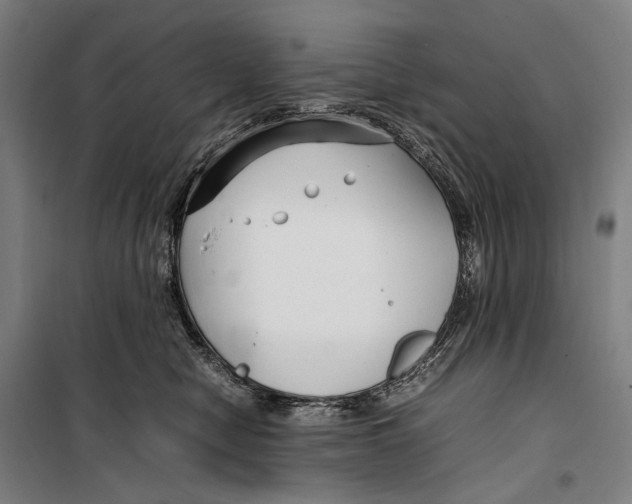 X0000099510470200806121443