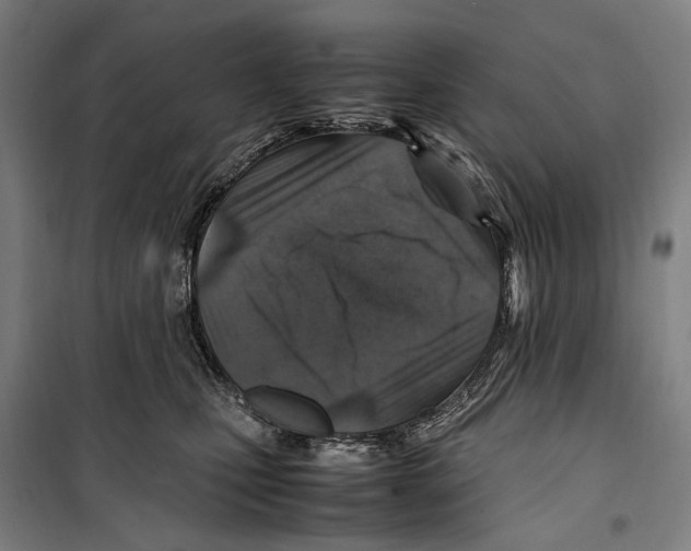 X0000099510471200806121443
