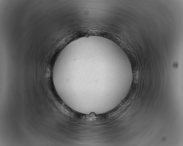 X0000099510472200806121443