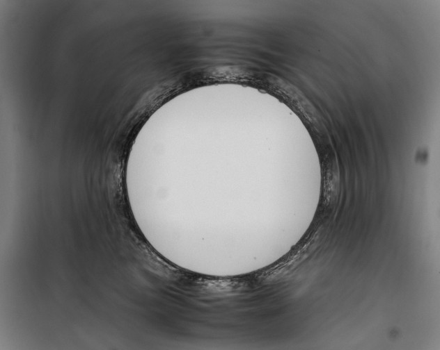 X0000099510473200806121443
