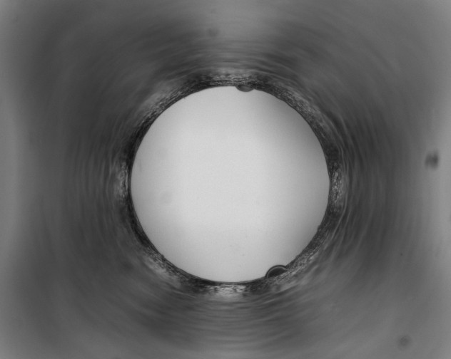 X0000099510474200806121443