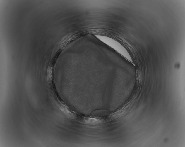X0000099510475200806121443