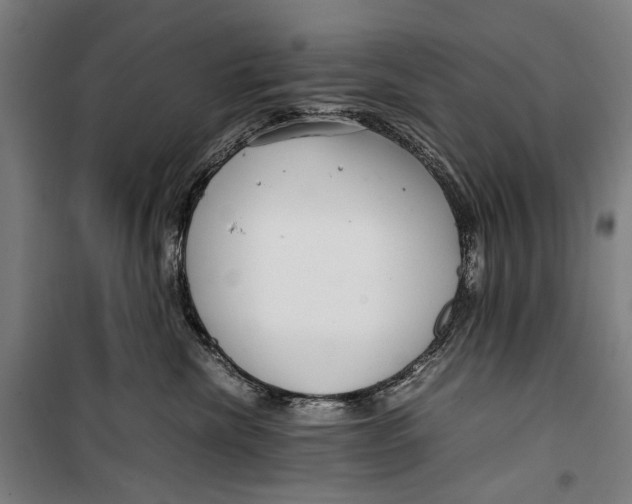 X0000099510476200806121443