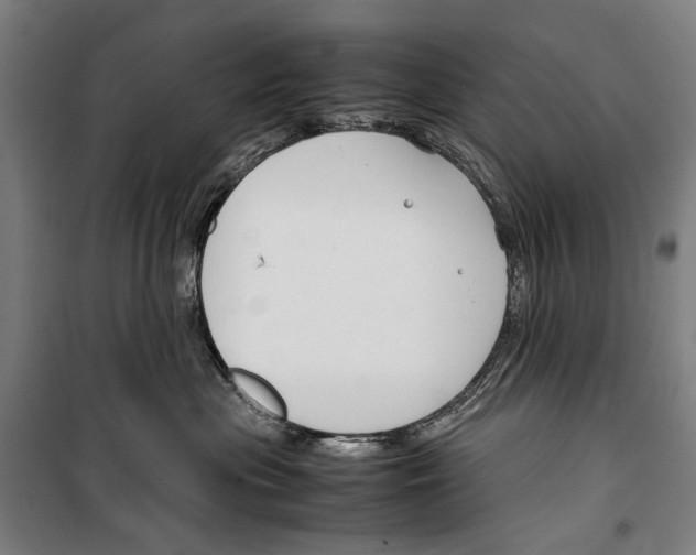 X0000099510477200806121443