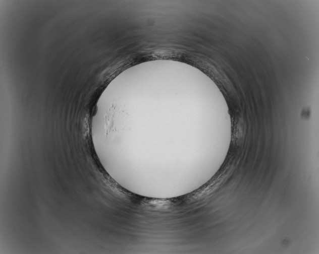 X0000099510478200806121443