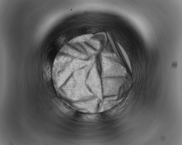 X0000099510479200806121443