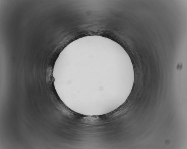 X0000099510480200806121443
