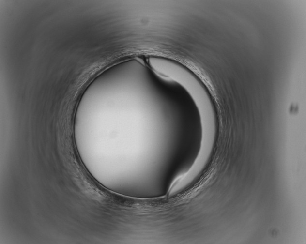 X0000099510481200806121442