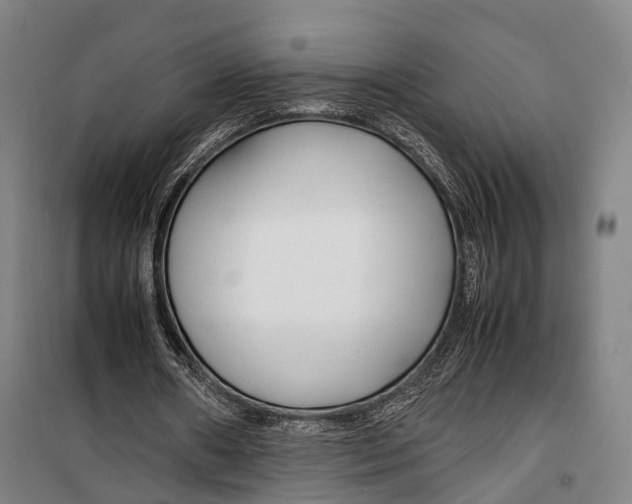 X0000099510482200806121442