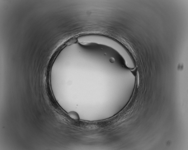 X0000099510483200806121442