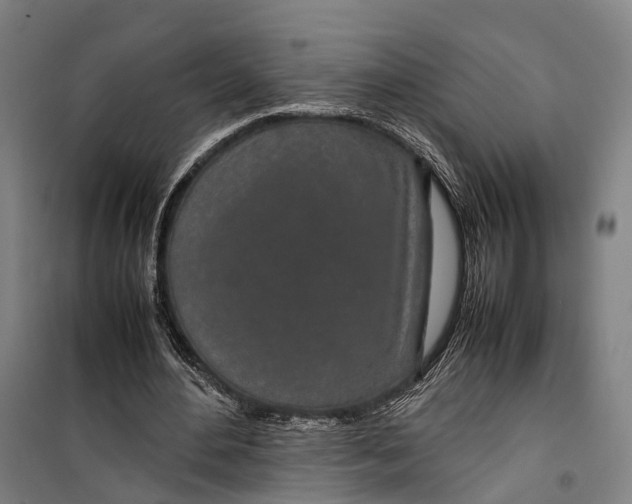 X0000099510484200806121442