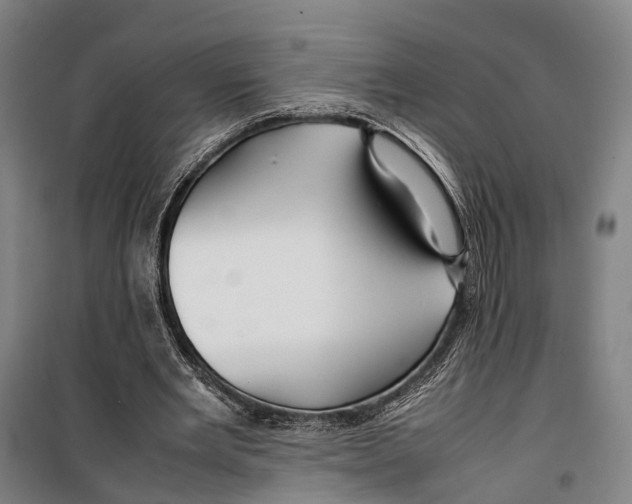X0000099510485200806121442