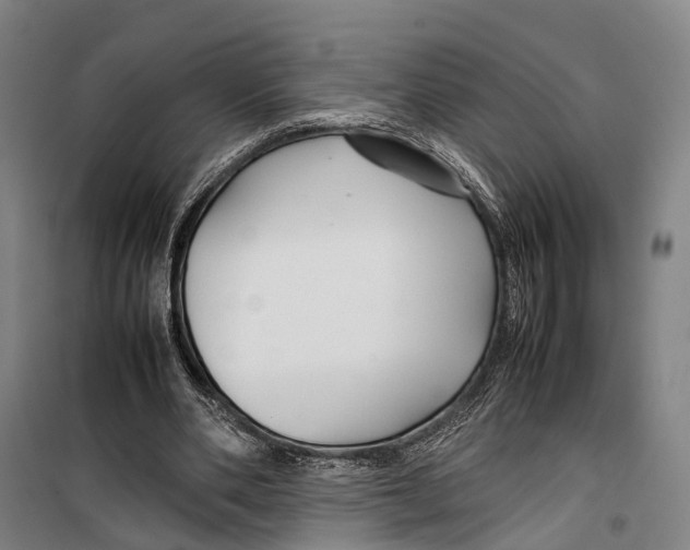 X0000099510486200806121442