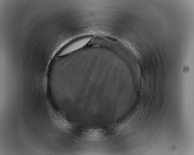 X0000099510488200806121442