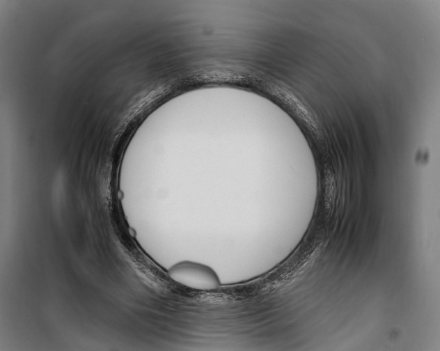 X0000099510490200806121442