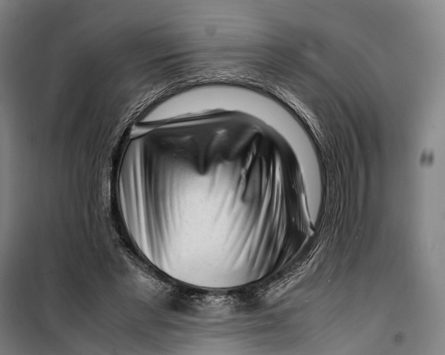 X0000099510493200806121442