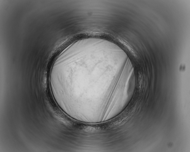 X0000099510494200806121442