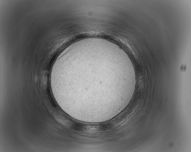 X0000099510495200806121442
