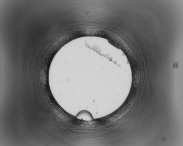 X0000099510497200806121442