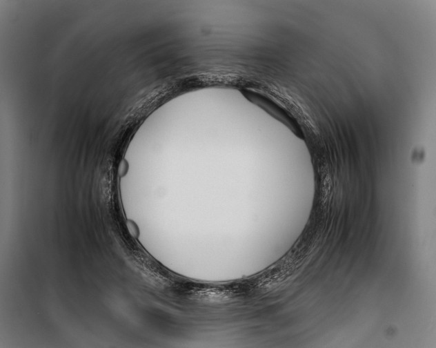 X0000099510498200806121442