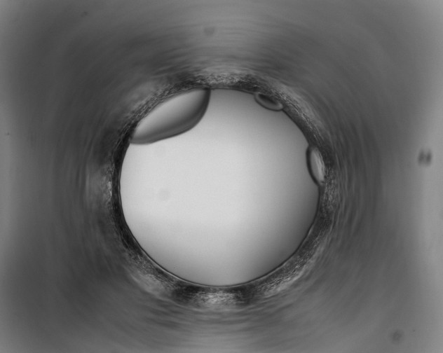 X0000099510501200806121442