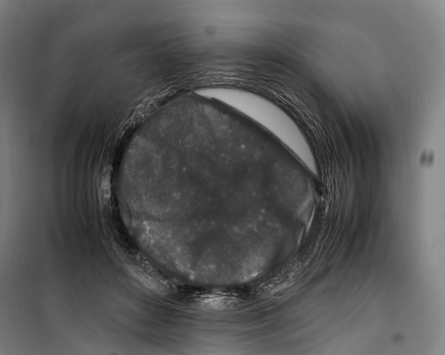 X0000099510504200806121442