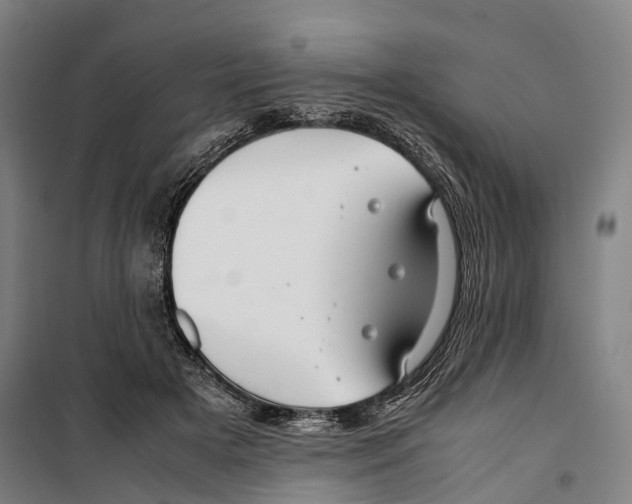 X0000099510505200806121442