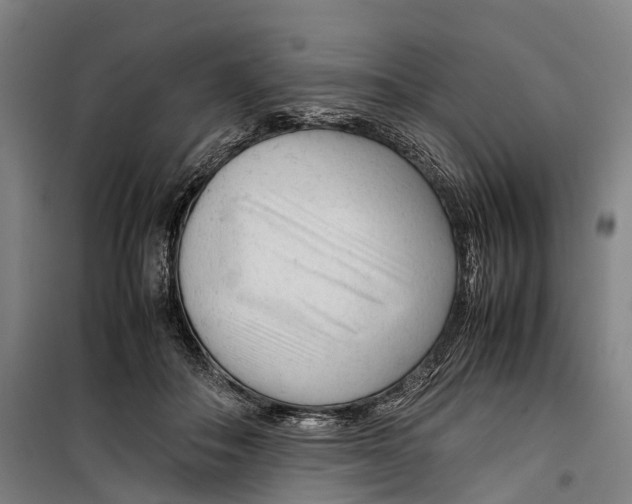X0000099510506200806121442
