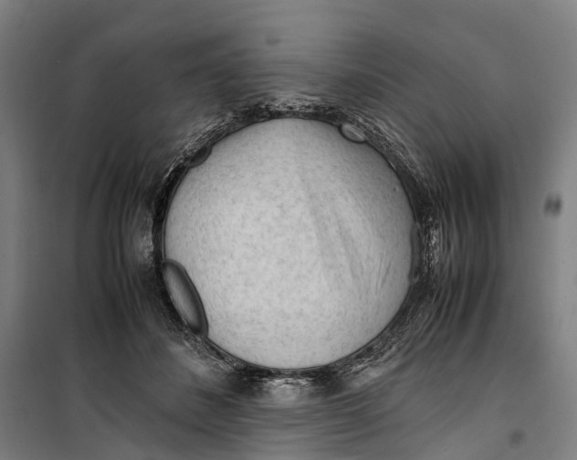 X0000099510508200806121442